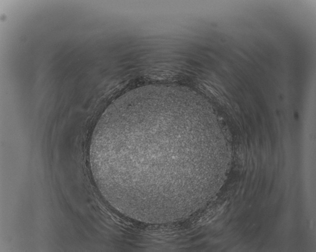 X0000062850817200601201701