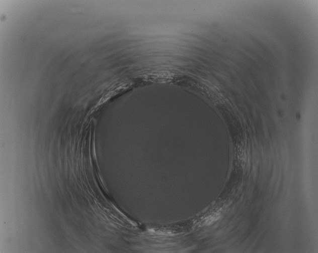 X0000062850818200601201701