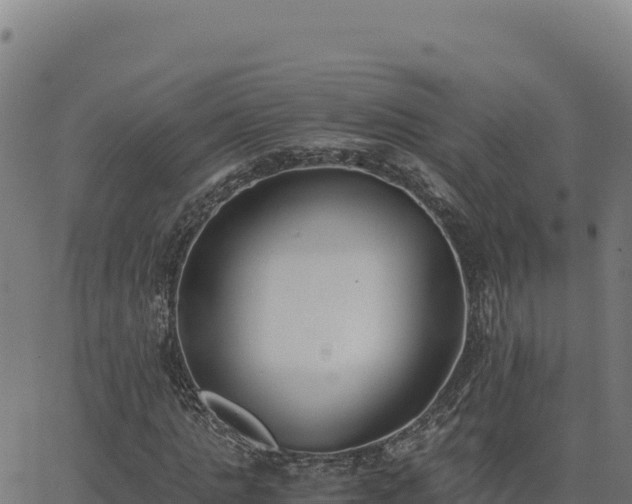 X0000062850821200601201701