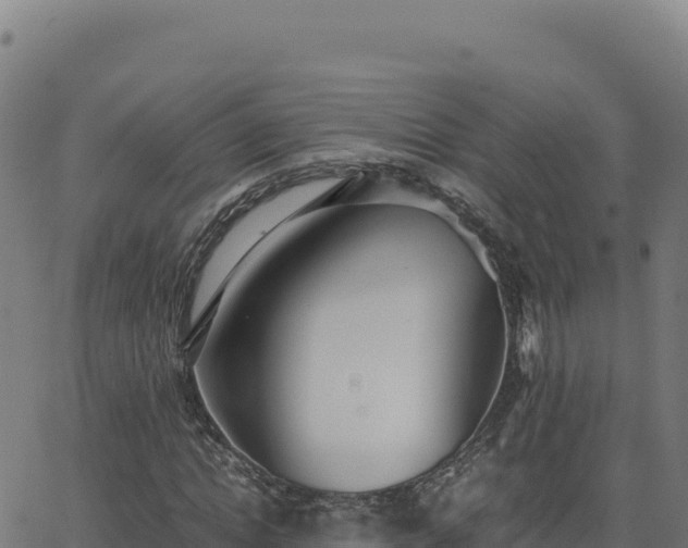 X0000062850822200601201701