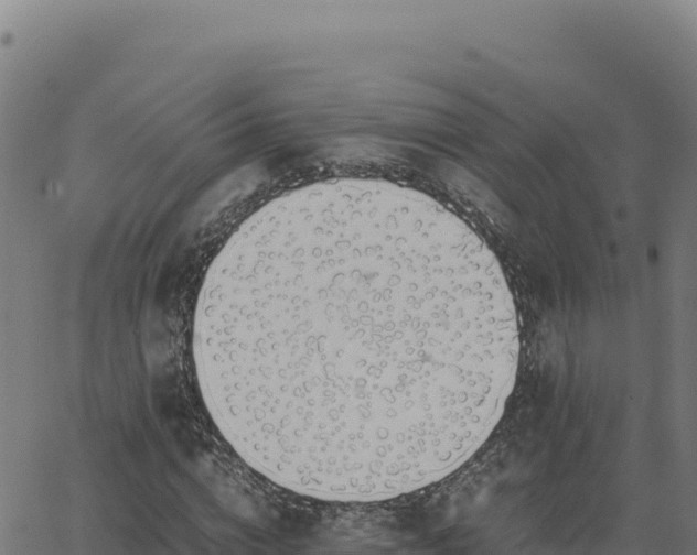 X0000062850824200601201701