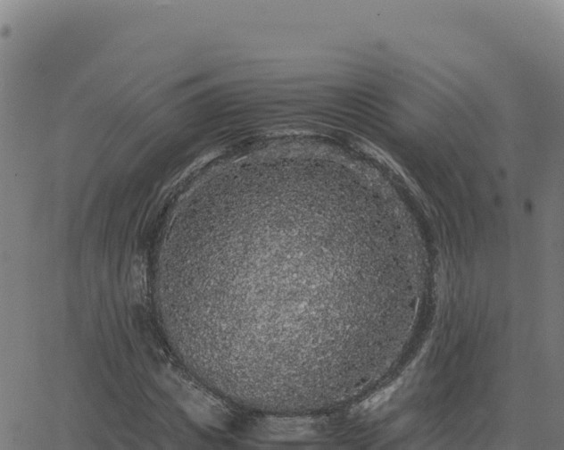 X0000062850825200601201701