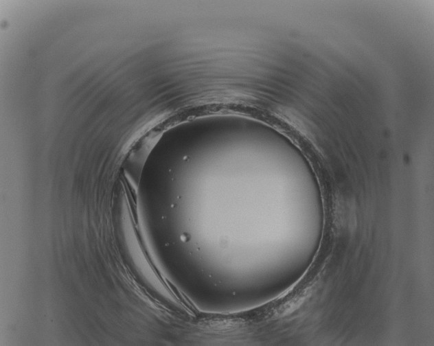 X0000062850826200601201701