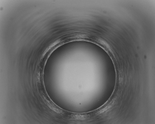 X0000062850827200601201701