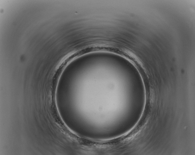 X0000062850829200601201701