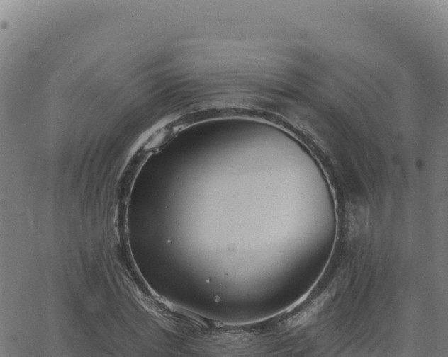 X0000062850830200601201701