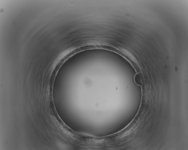 X0000062850831200601201701