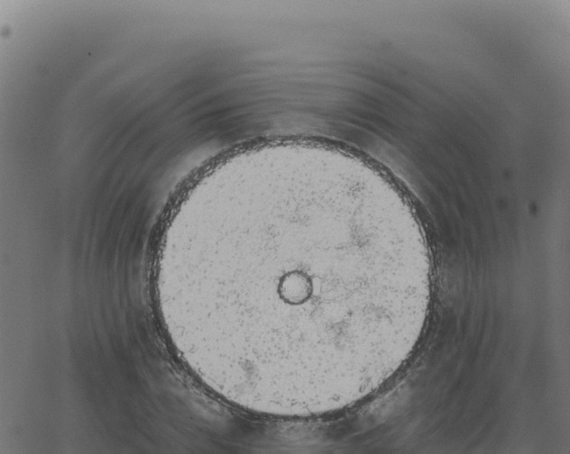 X0000062850832200601201701