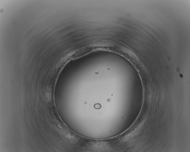 X0000062850833200601201701