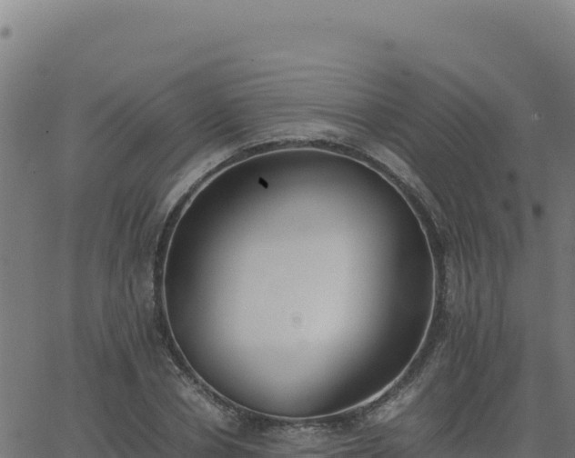 X0000062850834200601201701