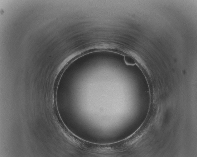 X0000062850837200601201701