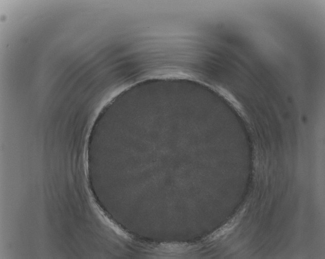 X0000062850840200601201701