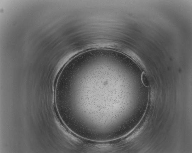 X0000062850844200601201701