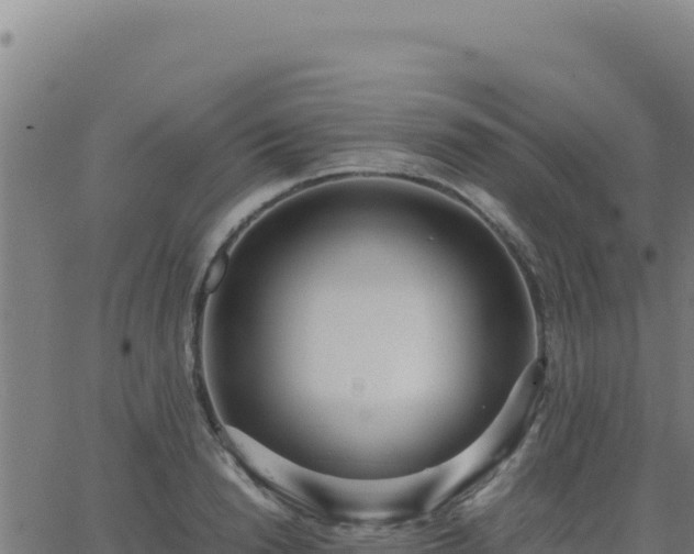 X0000062850846200601201701