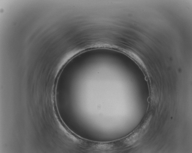 X0000062850847200601201701