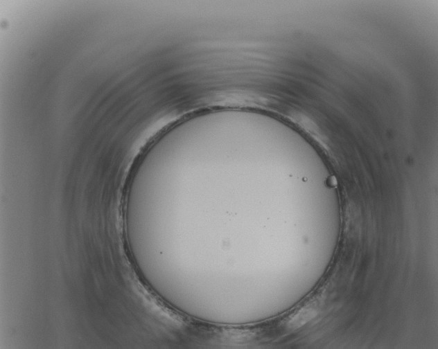 X0000062850848200601201701