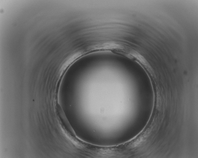 X0000062850850200601201701