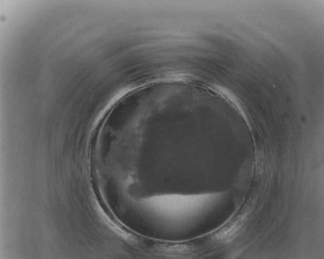 X0000062850851200601201701