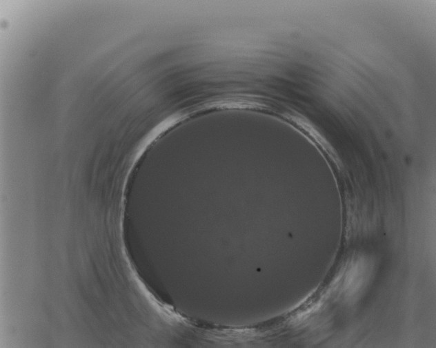 X0000062850853200601201701