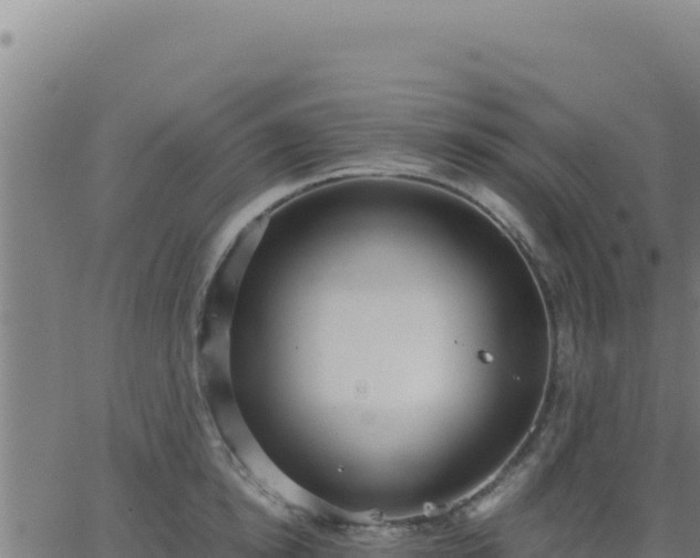 X0000062850854200601201701