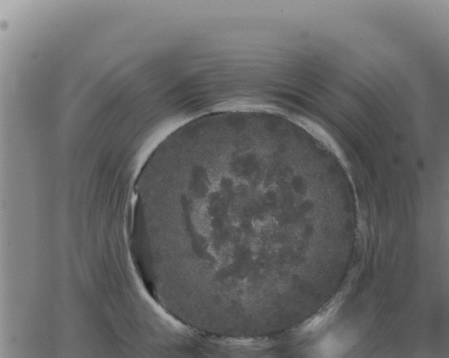 X0000062850855200601201701