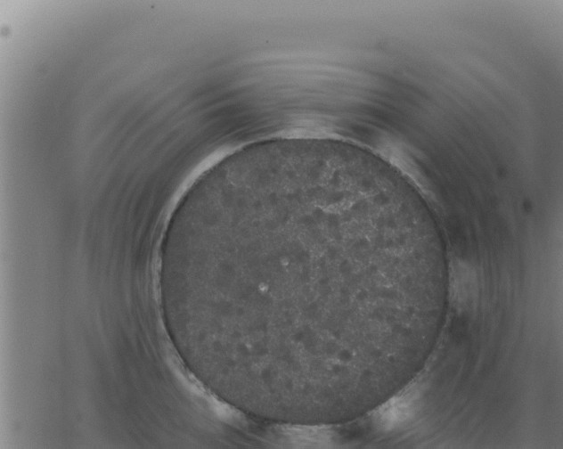 X0000062850856200601201701