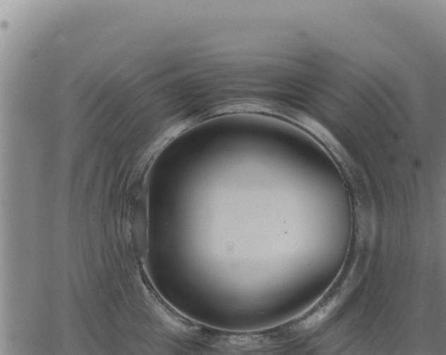 X0000062850857200601201701