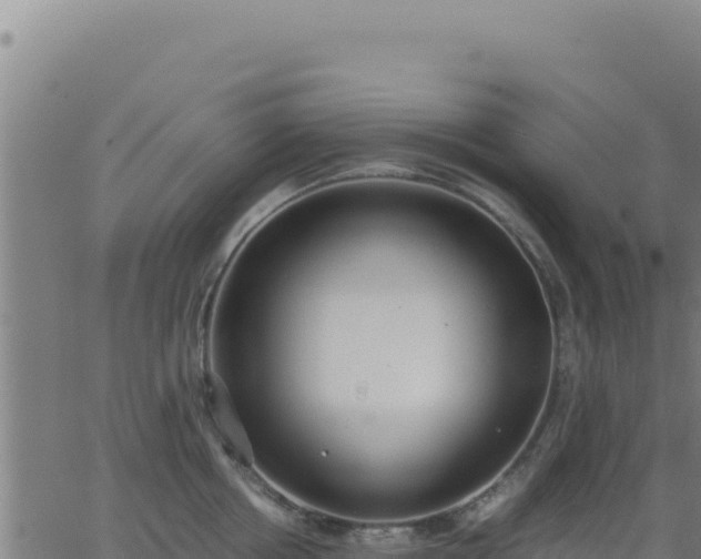 X0000062850858200601201701