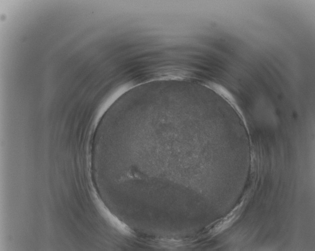 X0000062850859200601201701