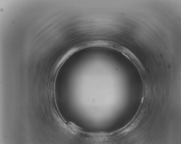 X0000062850860200601201701