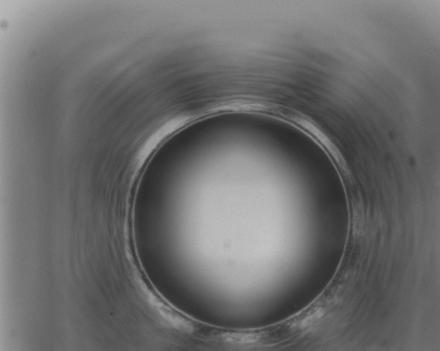 X0000062850861200601201701