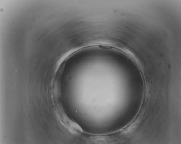 X0000062850862200601201701