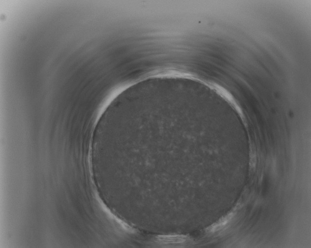 X0000062850863200601201701