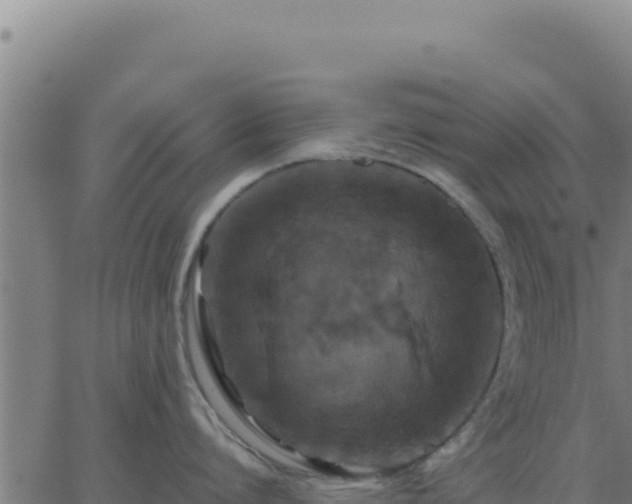 X0000062850864200601201701