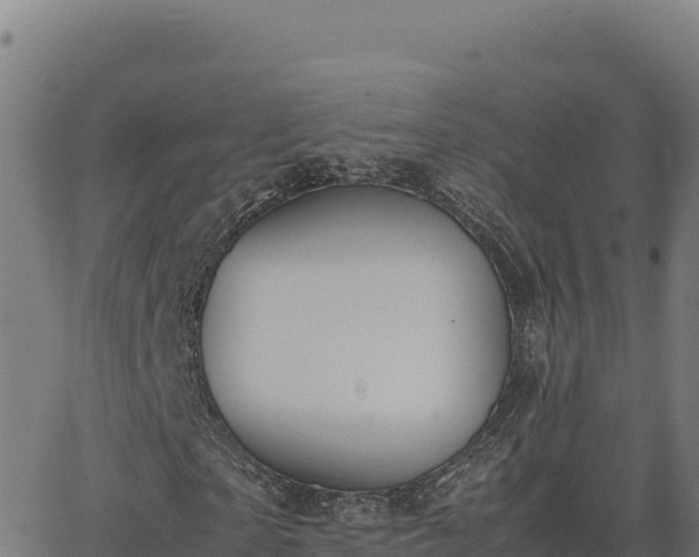 X0000062850865200601201701