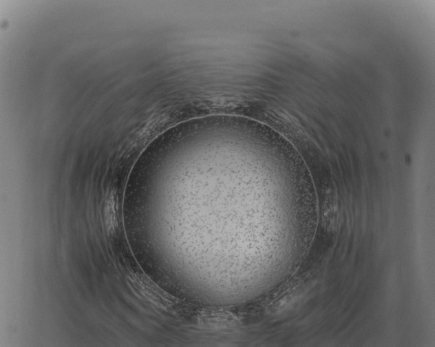 X0000062850866200601201701