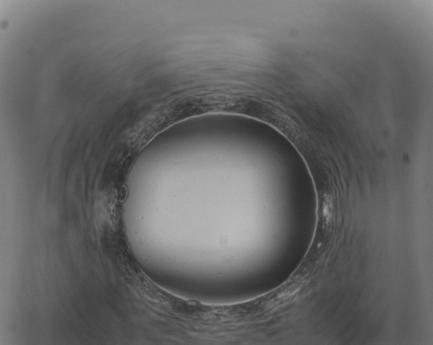 X0000062850867200601201701