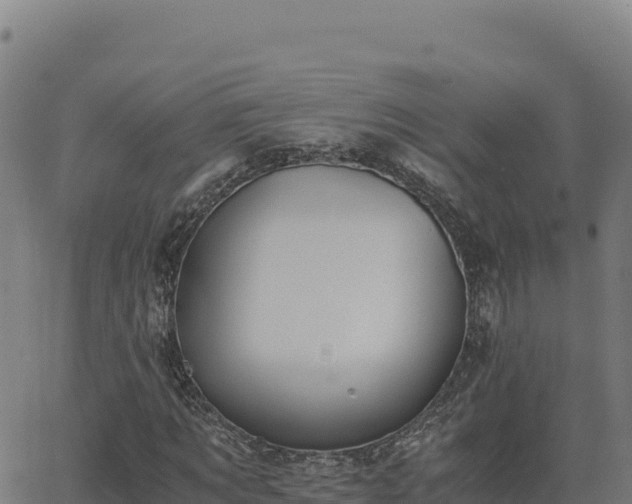 X0000062850869200601201701