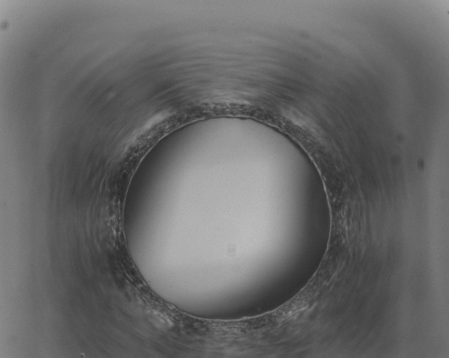 X0000062850870200601201701