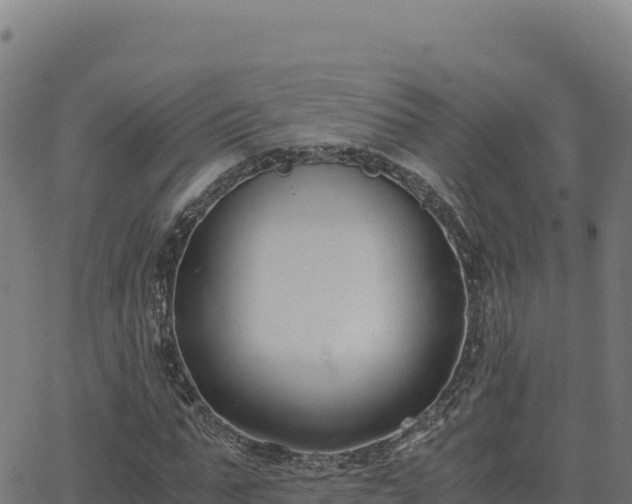 X0000062850871200601201701