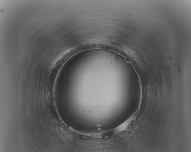 X0000062850872200601201701