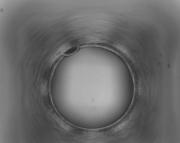 X0000062850873200601201701