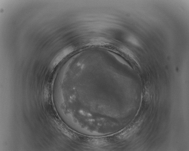 X0000062850874200601201701