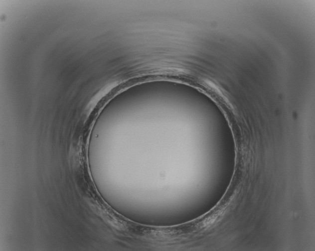 X0000062850875200601201701