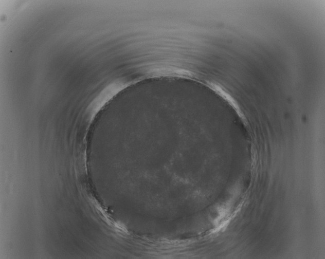 X0000062850877200601201700