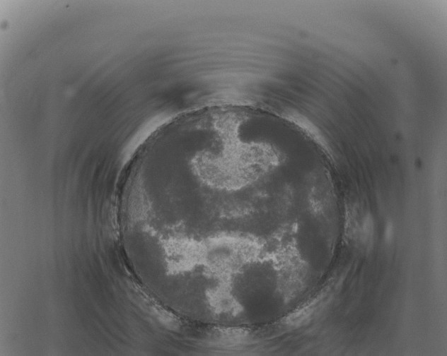 X0000062850878200601201700