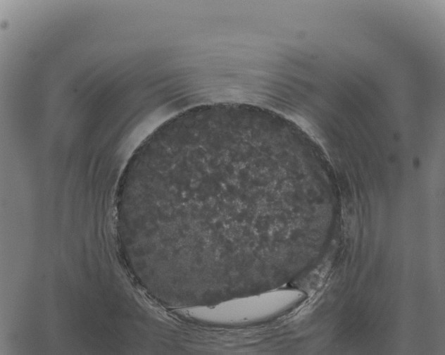 X0000062850879200601201700