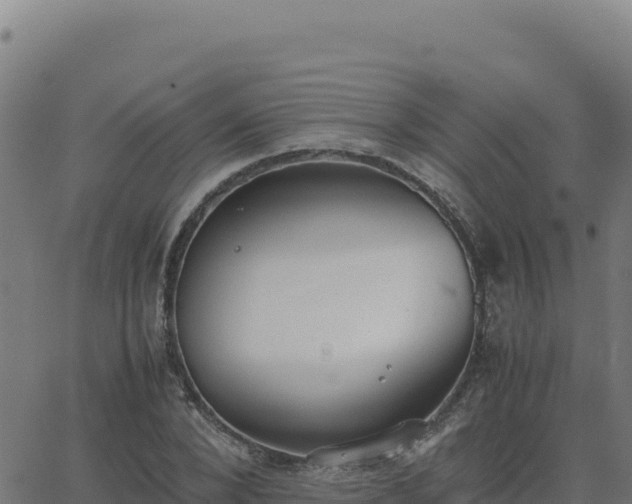 X0000062850880200601201700