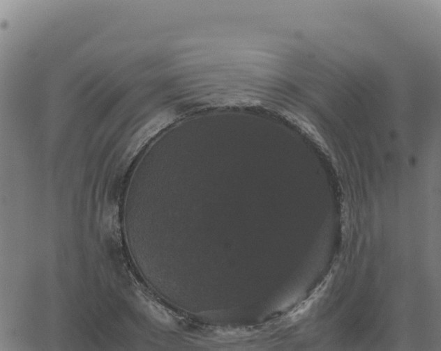 X0000062850881200601201700