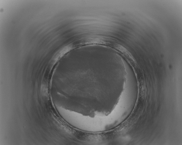 X0000062850882200601201700